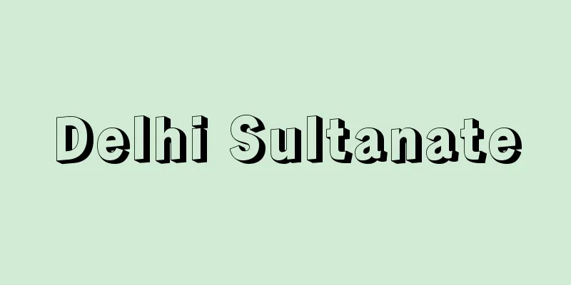 Delhi Sultanate