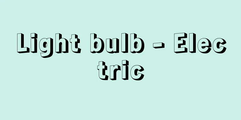 Light bulb - Electric