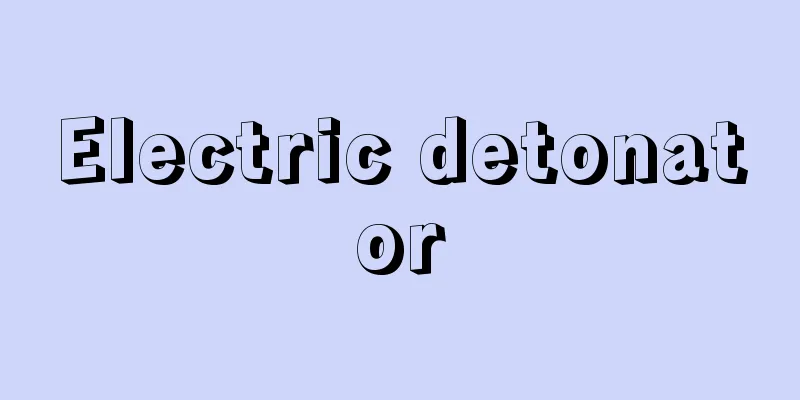 Electric detonator