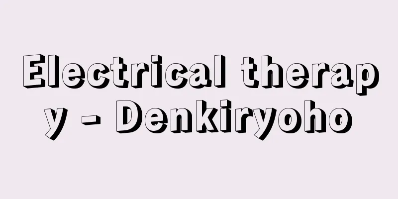 Electrical therapy - Denkiryoho