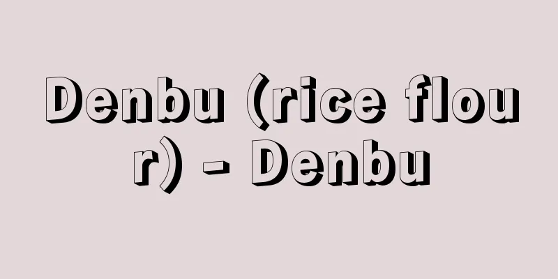 Denbu (rice flour) - Denbu