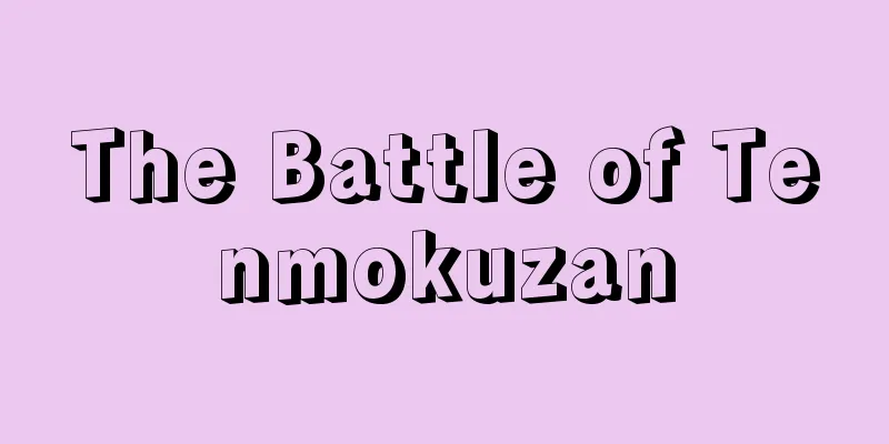 The Battle of Tenmokuzan