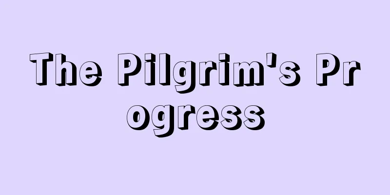 The Pilgrim's Progress