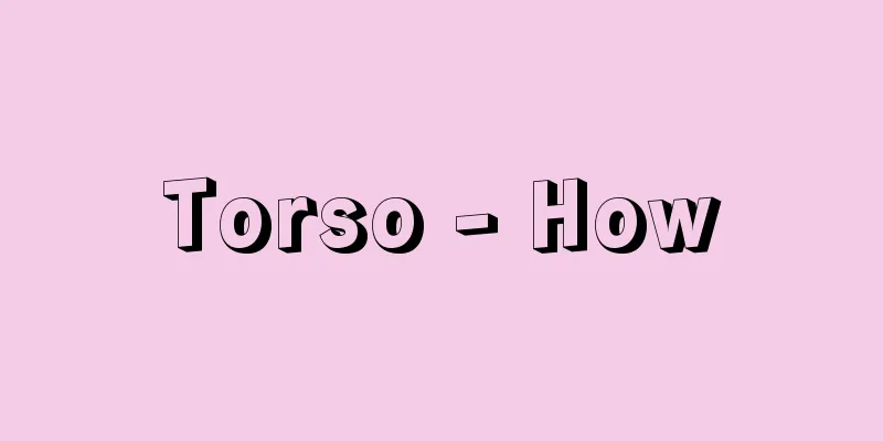 Torso - How
