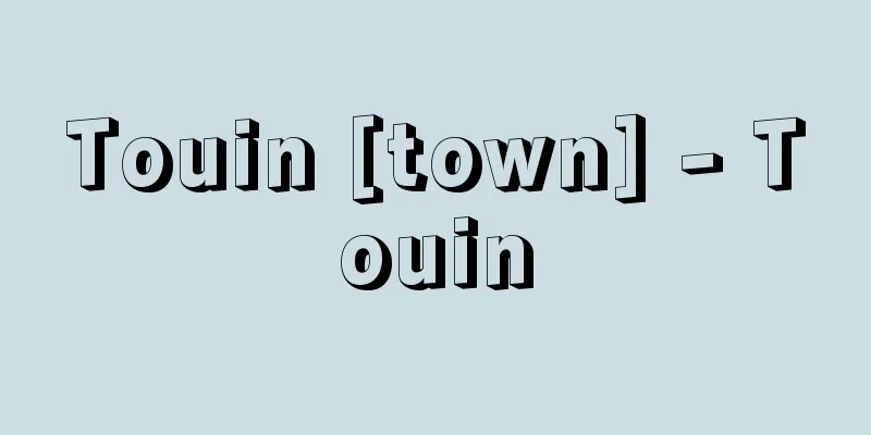 Touin [town] - Touin