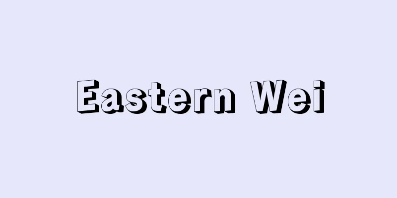 Eastern Wei