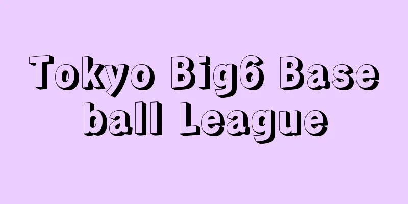 Tokyo Big6 Baseball League