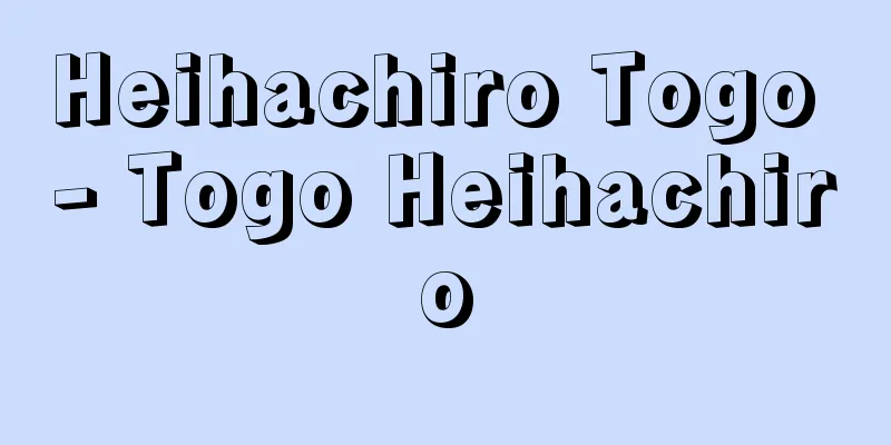 Heihachiro Togo - Togo Heihachiro