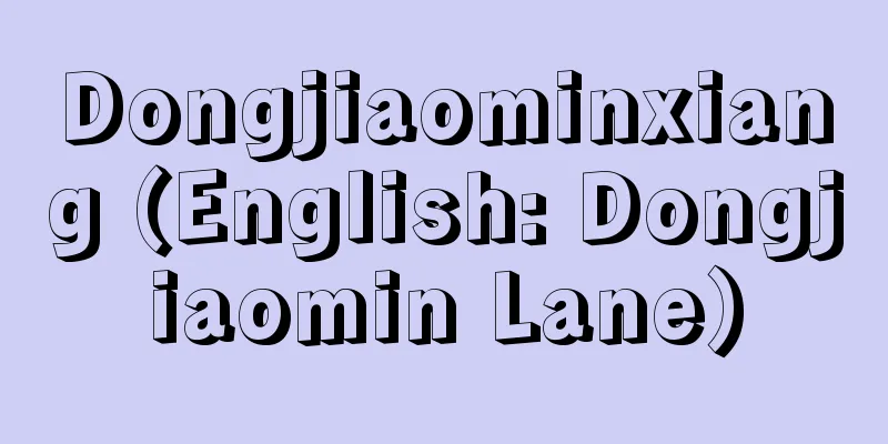 Dongjiaominxiang (English: Dongjiaomin Lane)
