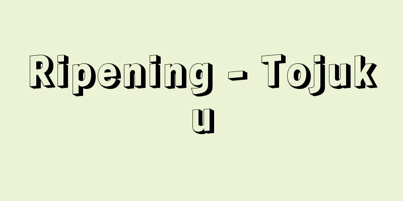 Ripening - Tojuku