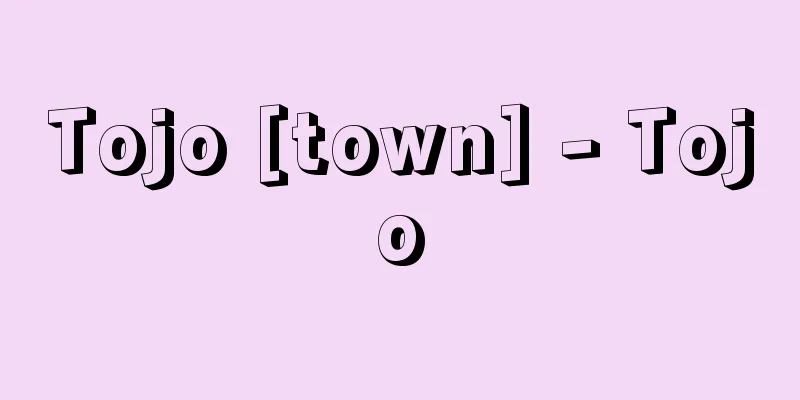 Tojo [town] - Tojo