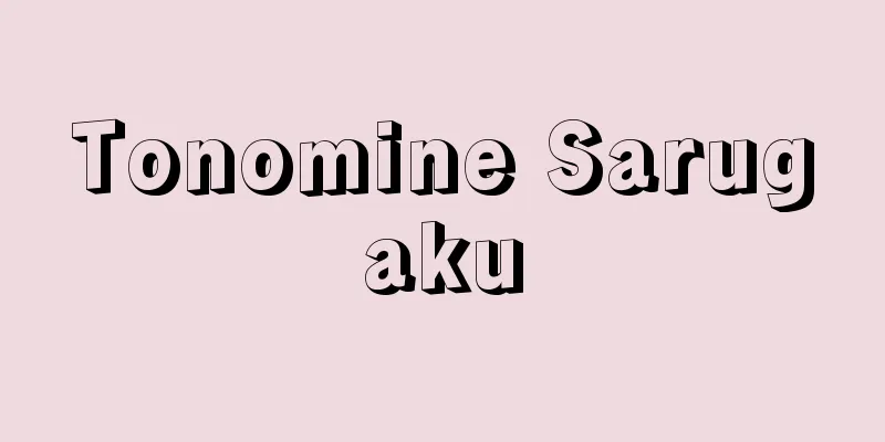 Tonomine Sarugaku