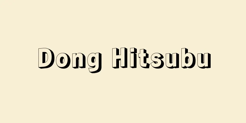 Dong Hitsubu