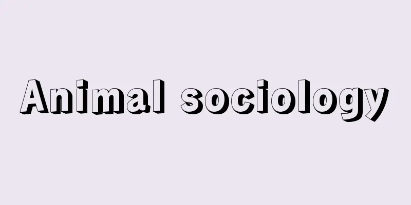 Animal sociology