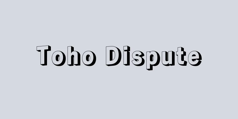 Toho Dispute
