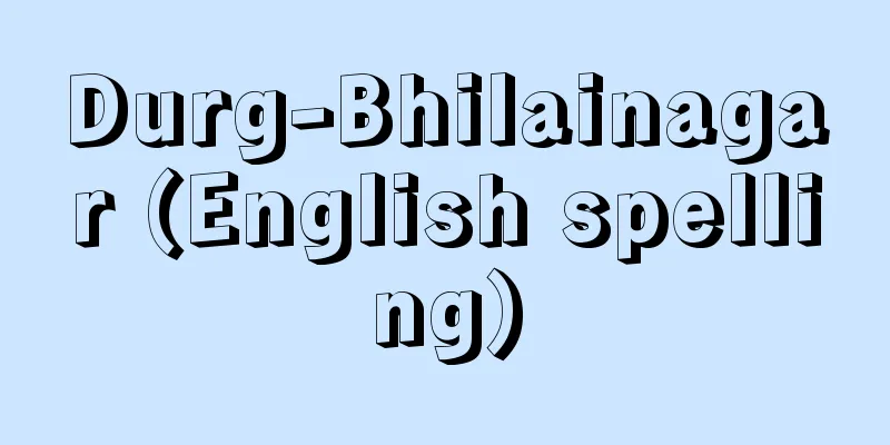 Durg-Bhilainagar (English spelling)