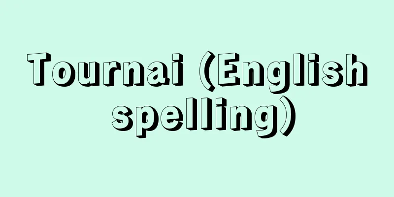 Tournai (English spelling)