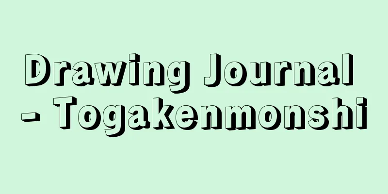 Drawing Journal - Togakenmonshi
