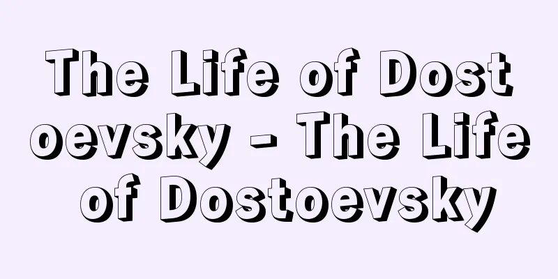 The Life of Dostoevsky - The Life of Dostoevsky