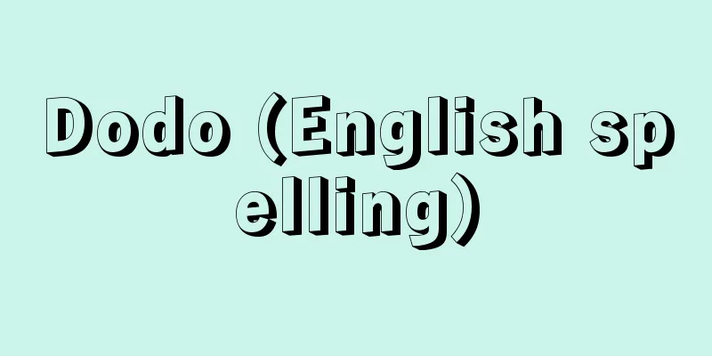 Dodo (English spelling)
