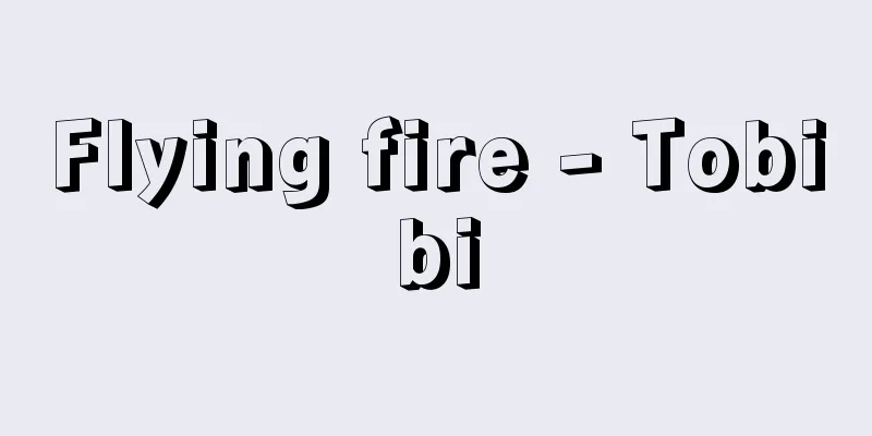 Flying fire - Tobibi