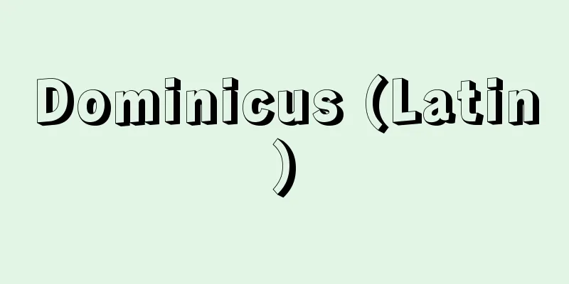 Dominicus (Latin)