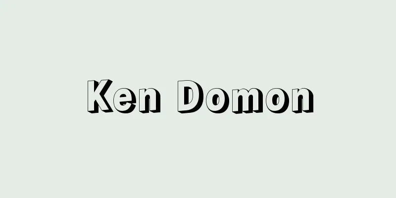 Ken Domon