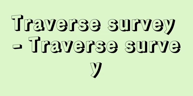 Traverse survey - Traverse survey