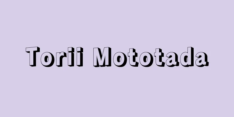 Torii Mototada