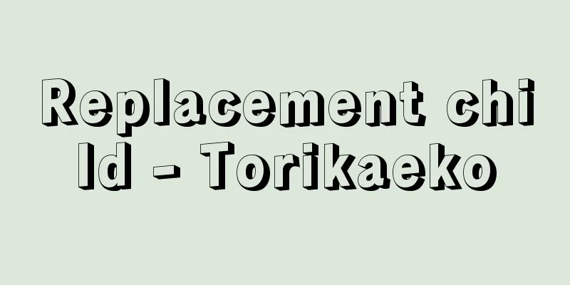 Replacement child - Torikaeko
