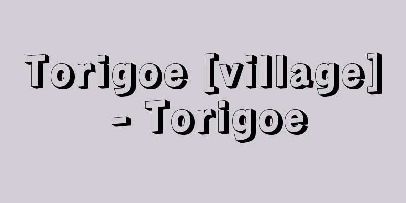 Torigoe [village] - Torigoe