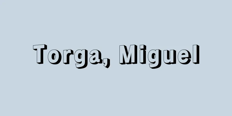 Torga, Miguel