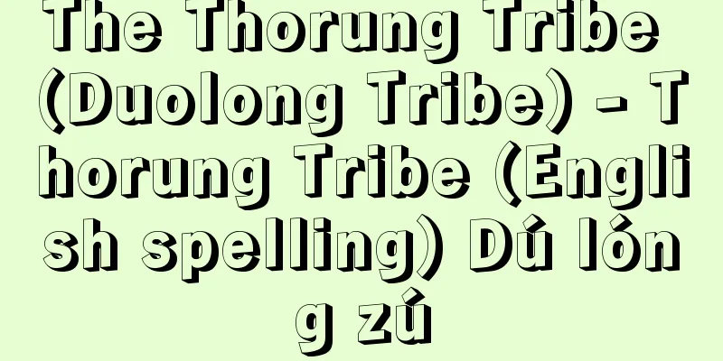 The Thorung Tribe (Duolong Tribe) - Thorung Tribe (English spelling) Dú lóng zú