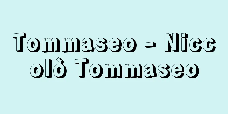 Tommaseo - Niccolò Tommaseo
