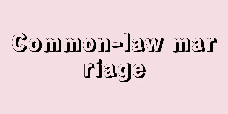 Common-law marriage