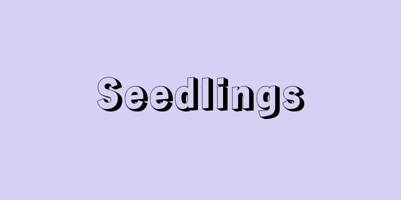 Seedlings