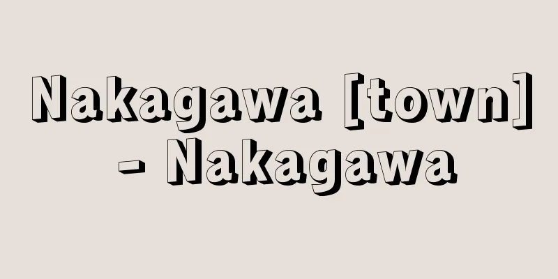 Nakagawa [town] - Nakagawa