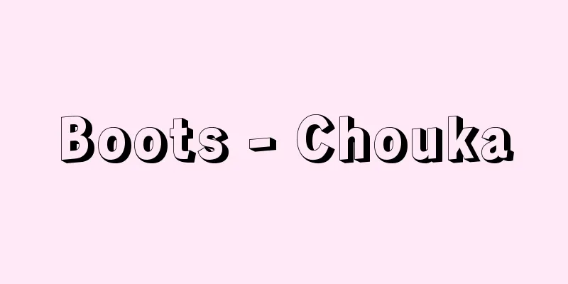 Boots - Chouka