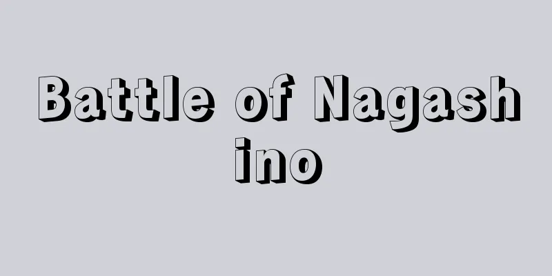Battle of Nagashino