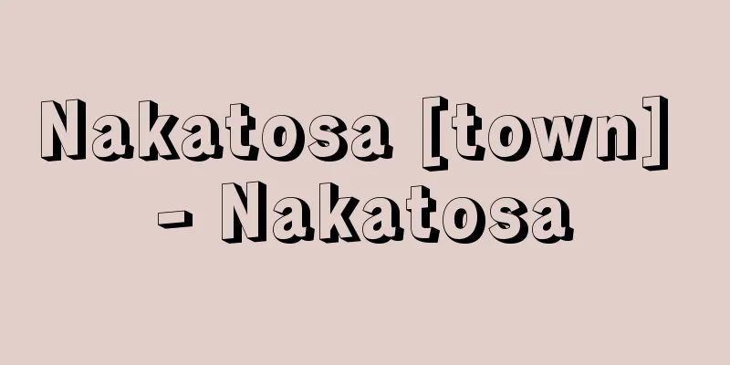 Nakatosa [town] - Nakatosa