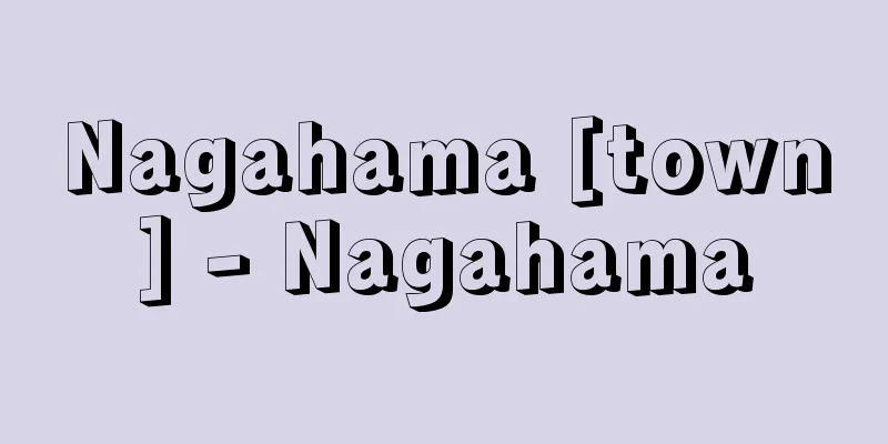 Nagahama [town] - Nagahama