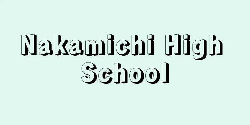 Nakamichi High School