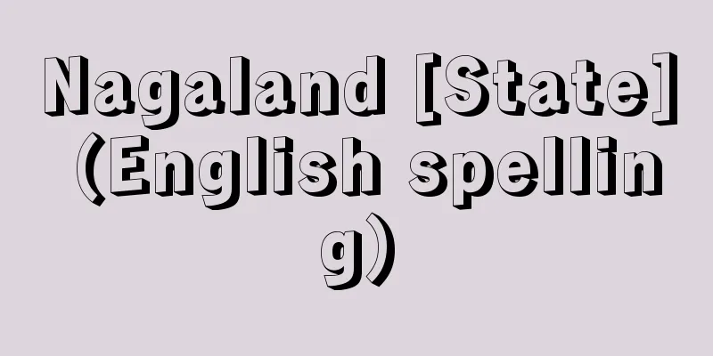 Nagaland [State] (English spelling)