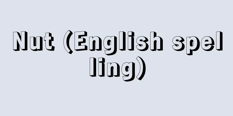 Nut (English spelling)