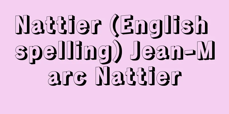 Nattier (English spelling) Jean-Marc Nattier
