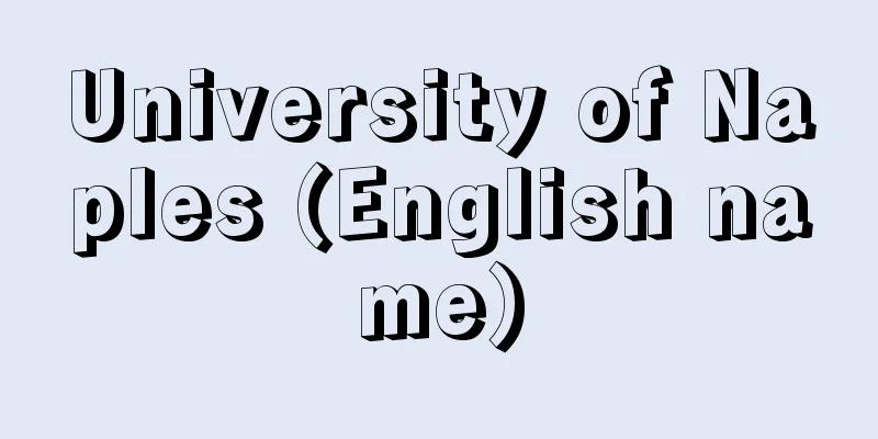 University of Naples (English name)