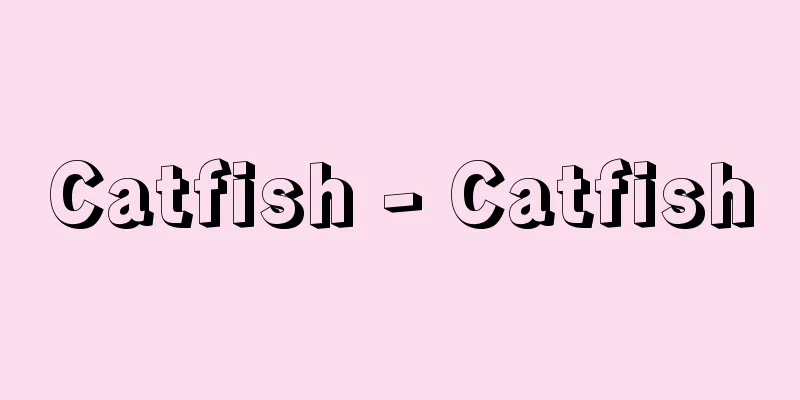 Catfish - Catfish