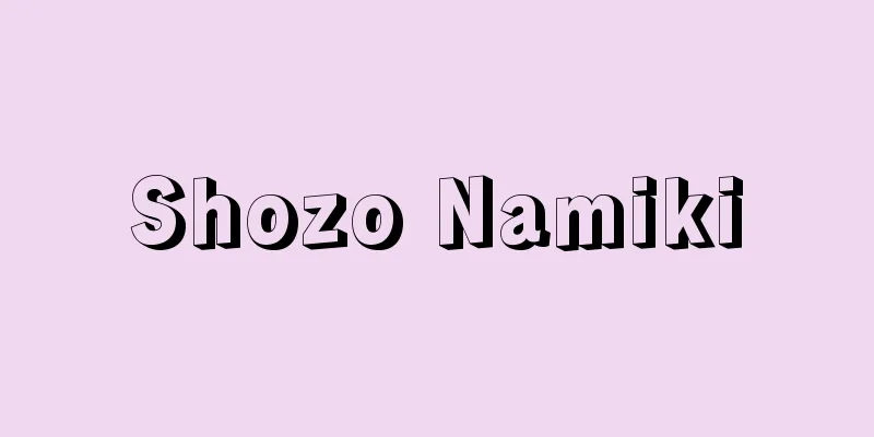 Shozo Namiki