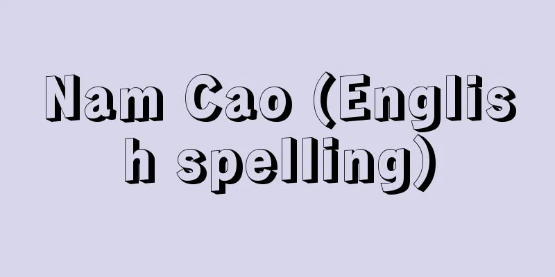 Nam Cao (English spelling)