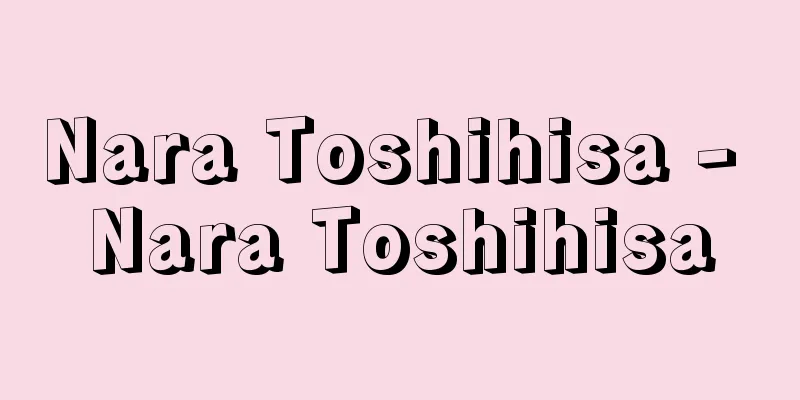 Nara Toshihisa - Nara Toshihisa
